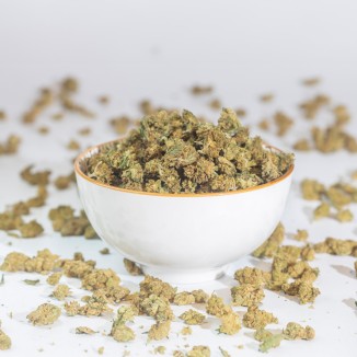 LEMON HAZE SMALL BUDS