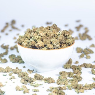 MANGO HAZE SMALL BUDS