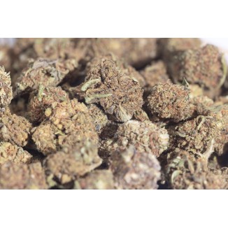 STRAWBERRY SMALL BUDS