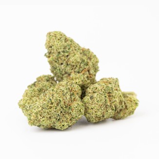 ORANGE JUICE 10GR