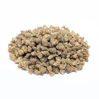 ORANGE PREMIUM SMALL BUDS