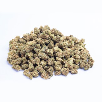 AMNESIA MASS PREMIUM SMALL BUDS