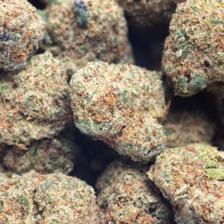 MANGO HYDRO PREMIUM SMALL BUDS
