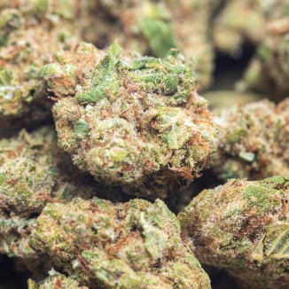 GELATO PREMIUM SMALL BUDS