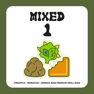 PACK MIXED 1
