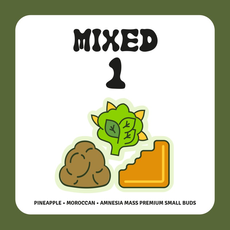 PACK MIXED 1 PACK MIXED 1