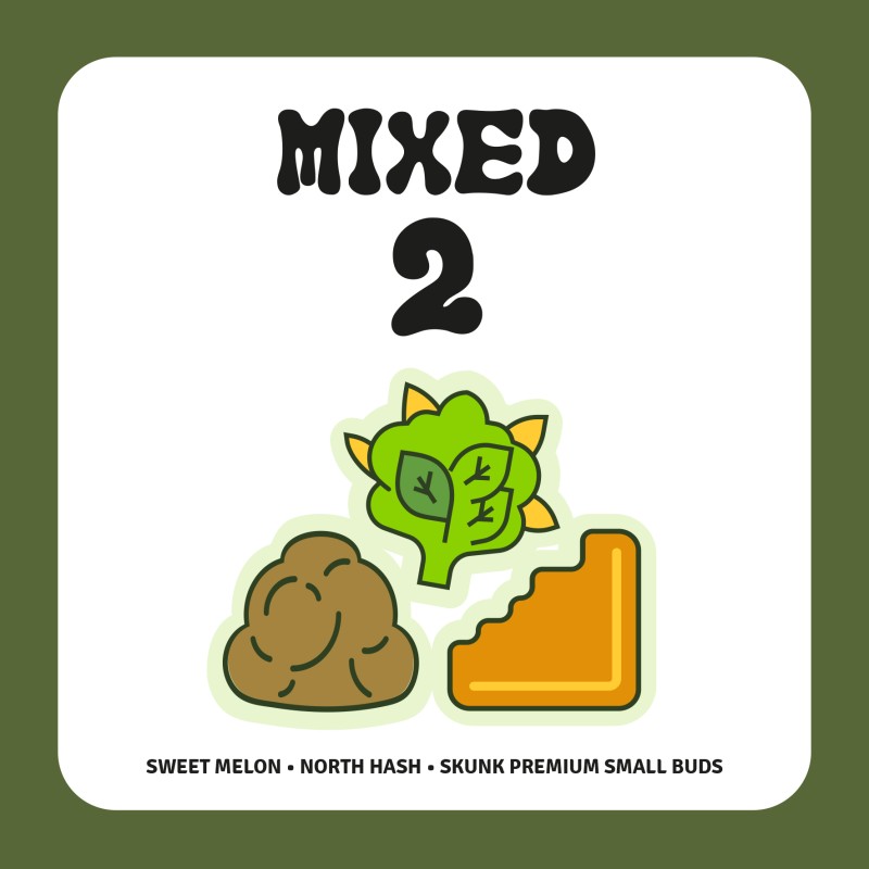 PACK MIXED 2 PACK MIXED 2