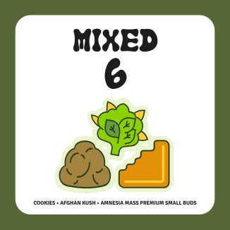 PACK MIXED 6