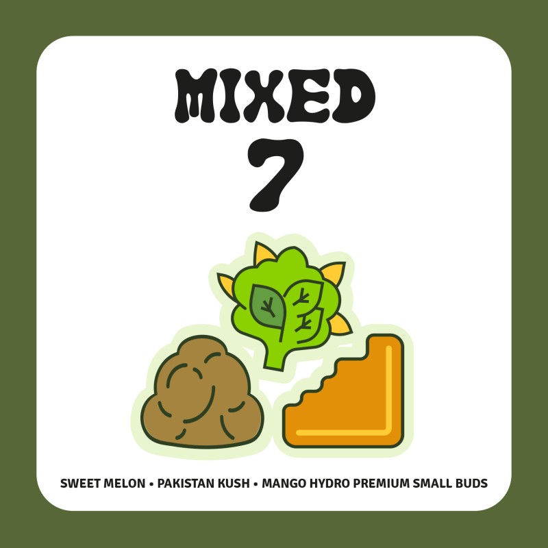PACK MIXED 7 PACK MIXED 7
