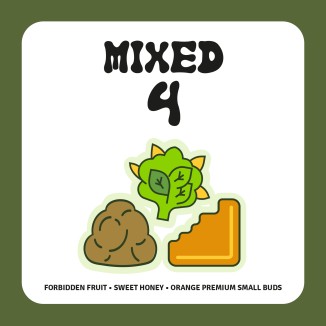PACK MIXED 4