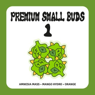 PACK PREMIUM SMALL BUDS 1