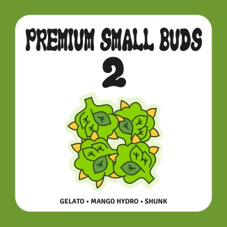 PACK PREMIUM SMALL BUDS 2