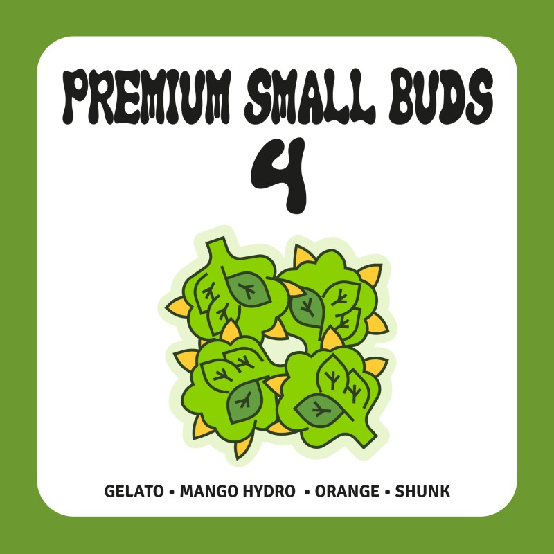 PACK PREMIUM SMALL BUDS 4 PACK PREMIUM SMALL BUDS 4
