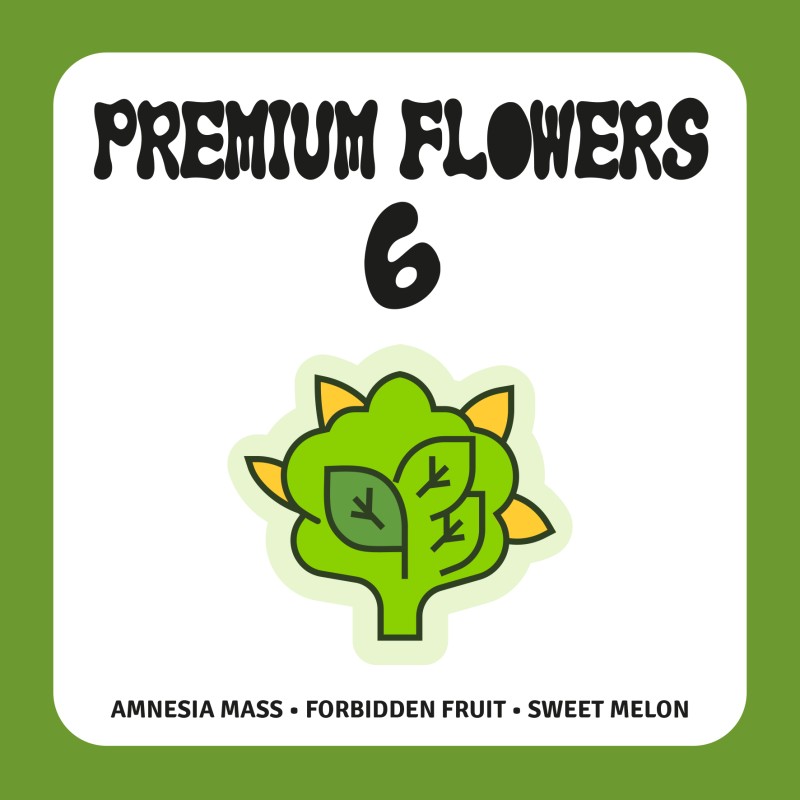 PACK PREMIUM FLOWERS 6 PACK PREMIUM FLOWERS 6