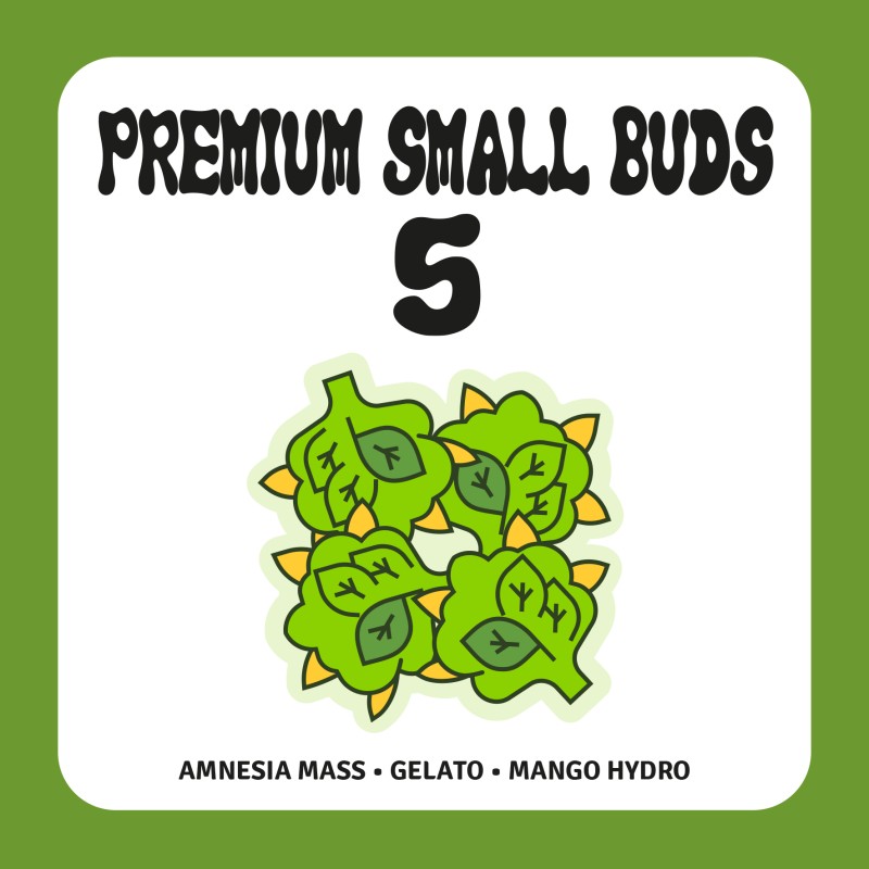 PACK PREMIUM SMALL BUDS 5 PACK PREMIUM SMALL BUDS 5
