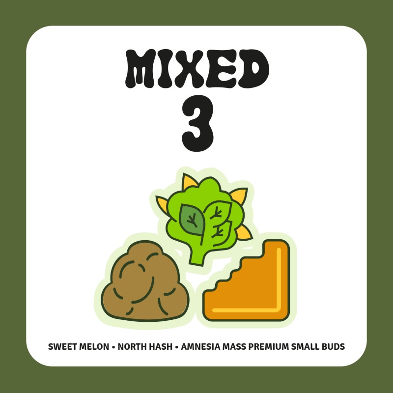 PACK MIXED 3 PACK MIXED 3