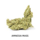 PACK PREMIUM FLOWERS 6