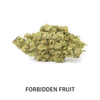 PACK PREMIUM FLOWERS 6