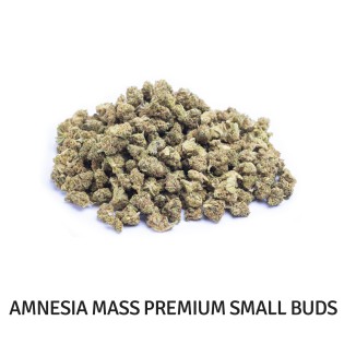 PACK PREMIUM SMALL BUDS 5