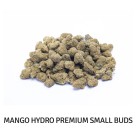 PACK PREMIUM SMALL BUDS 5