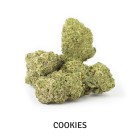 PACK PREMIUM FLOWERS 4
