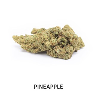 PACK PREMIUM FLOWERS 4