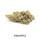PACK PREMIUM FLOWERS 4