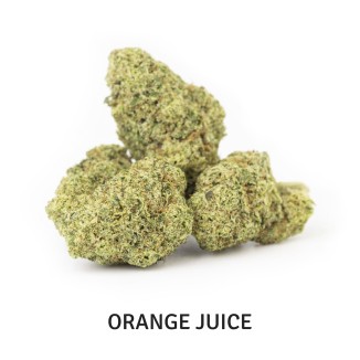 PACK PREMIUM FLOWERS 1