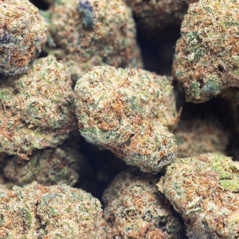 BLUEBERRY PREMIUM SMALL BUDS BLUEBERRY PREMIUM SMALL BUDS
